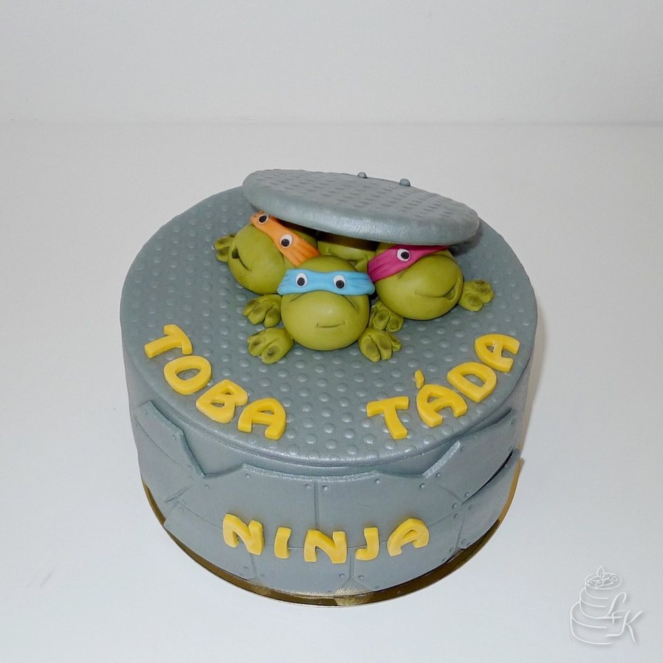 Želvy ninja