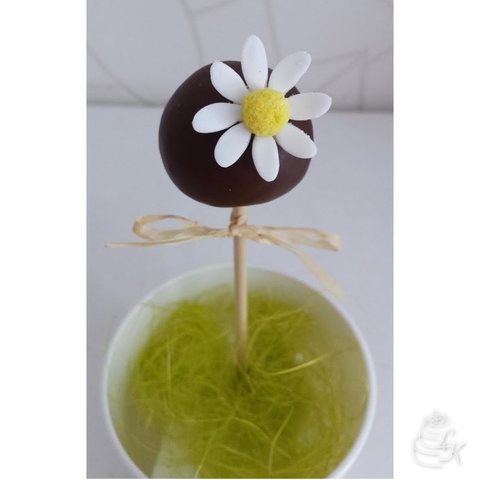 Cake pop natural